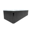 JJSPA Alpha 8252 - Swim Spa