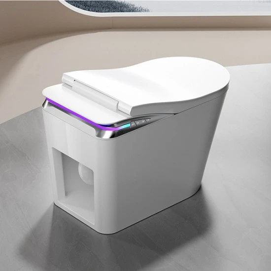 SECRET K2 – Intelligentes WC
